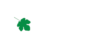 Boston Festival of Indie Games 2012 - Official Digital Games Showcase Selection